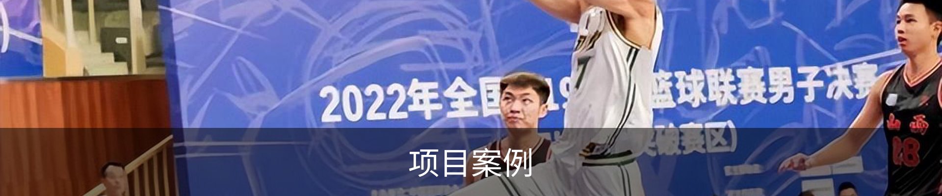 项目案例